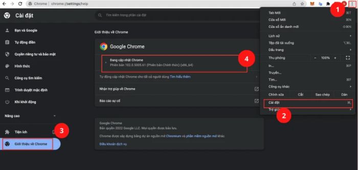 Cách khắc phục lỗi status_access_violation trên Windows 10 khi sử dụng Google Chrome