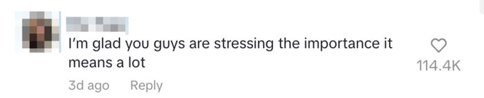 Comment by Myr Page: 'I’m glad you guys are emphasizing how important this is, it really means a lot.' 114.4K likes, posted 3 days ago