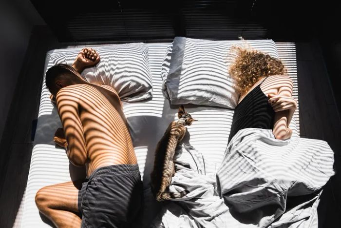 Two people lying in bed with a cat between them, light streaming through, creating stripes across the scene.