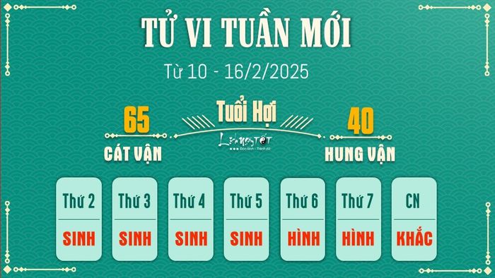 Tử vi tuần mới của 12 con giáp từ 10 - 16/2/2025 - Hợi
