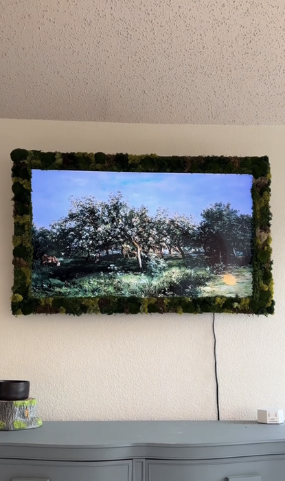 A TV screen mounted on the wall displaying a serene landscape, framed by lush decorative moss