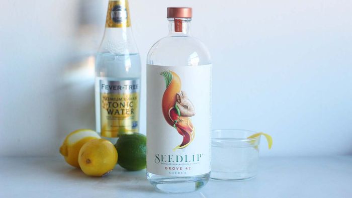Sober Individuals Deserve More Than Seedlip