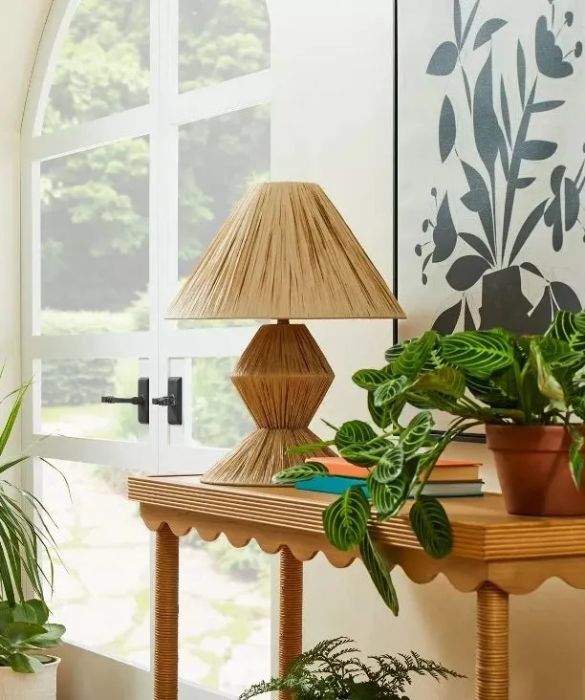 Indoor scene featuring various potted plants, a wooden table, books, and sunlight streaming through a large window