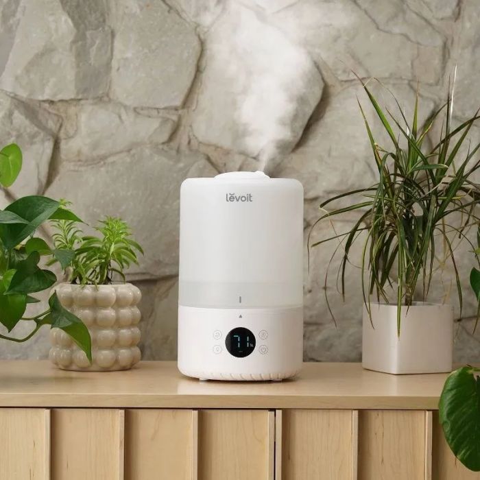 A Levoit humidifier sitting on a wooden shelf, surrounded by indoor plants, perfect for home use
