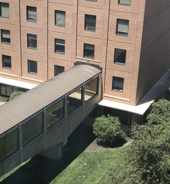 A brick structure featuring a covered walkway that leads to an upper-floor doorway. Lush green bushes frame the surroundings, and no individuals are in sight.