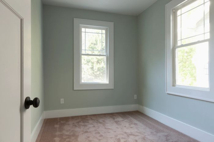 A small, unfurnished room with a closed door on the left, two windows, and a carpeted floor.