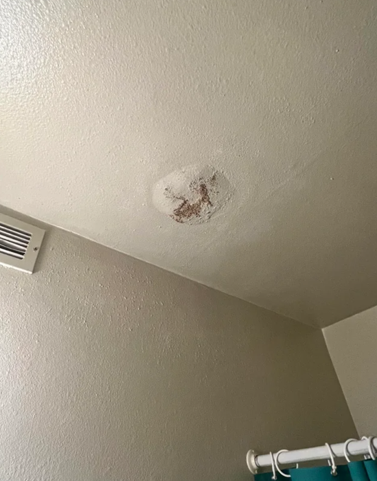 Water stains spreading across a bathroom ceiling near an air vent, signaling necessary repairs.