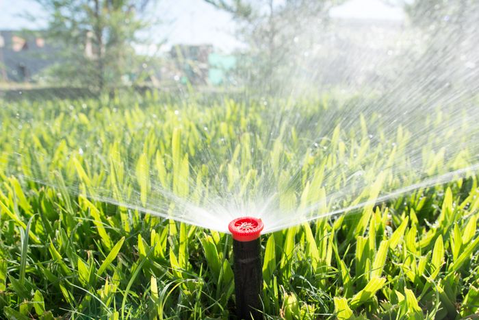 A water sprinkler misting over a lush green lawn during the day.
