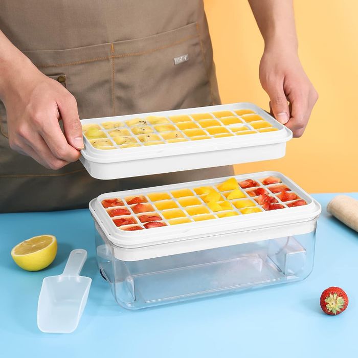Hands holding a tray filled with fruit ice cubes.