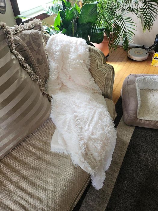 A white fluffy dog blending in with a similar-textured blanket on the couch, surrounded by plants and a pet bed
