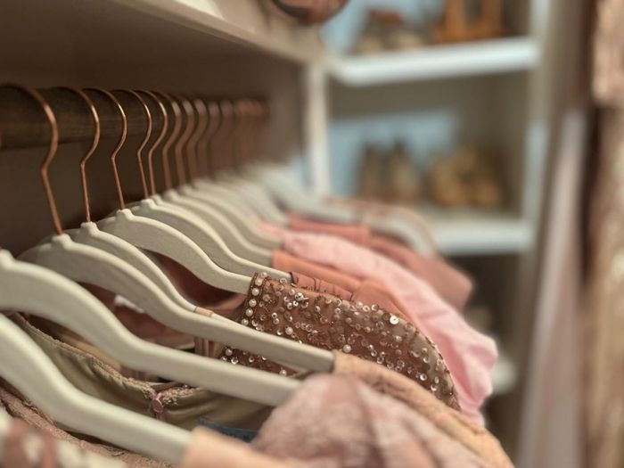 Clothes neatly hung on the velvet hangers