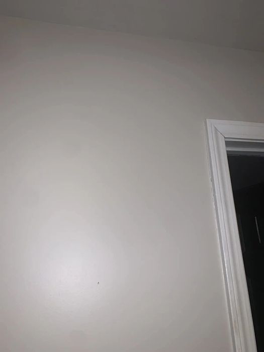 A reviewer photo showing the same wall after the crack has been repaired
