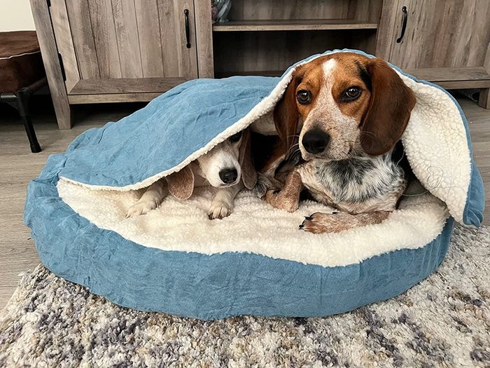A reviewer's dogs snuggled together in a hooded dog bed