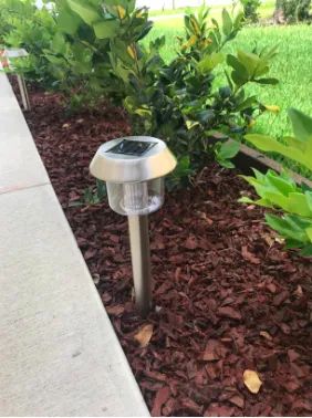 the solar lights along a walkway during the daytime