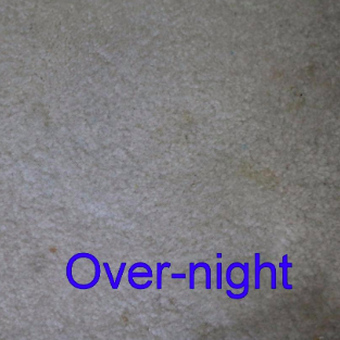 The reviewer’s final image shows the carpet looking pristine after using the stain-lifting pads, with the stain completely gone.