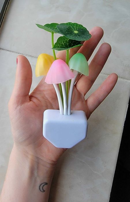 A Mytour editor holding a white plug adorned with pastel-colored mushrooms and leaves sprouting from it