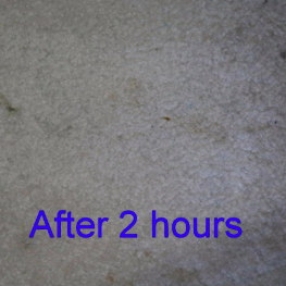 The reviewer’s progress picture captures the stain as it begins to fade, thanks to the stain-lifting pads.
