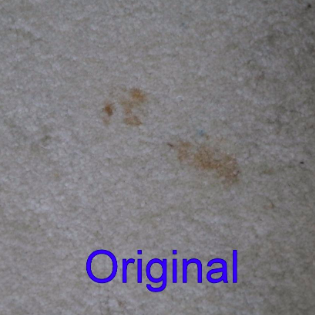The reviewer's initial image shows the stubborn carpet stain before any cleaning is done.