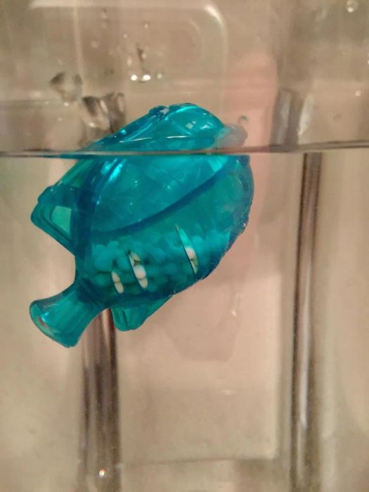 The blue plastic fish filled with white balls that sanitize the water