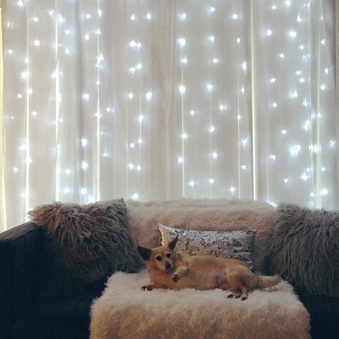 A reviewer’s sheer curtain with string lights softly glowing beneath, adding a whimsical touch to the room.