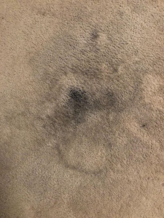 A section of carpet featuring noticeable dark stains and marks, suggesting wear or spills, perfect for an article on cleaning solutions.