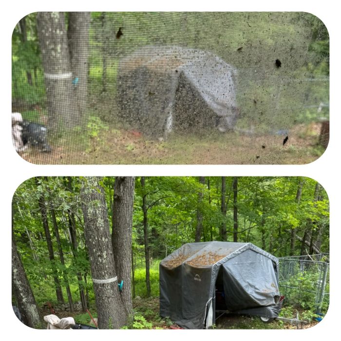 Two images show a tarp-covered structure in a forest. The second image is clearer, taken through a mesh screen.