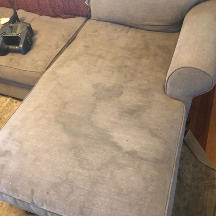 A reviewer’s stained sofa