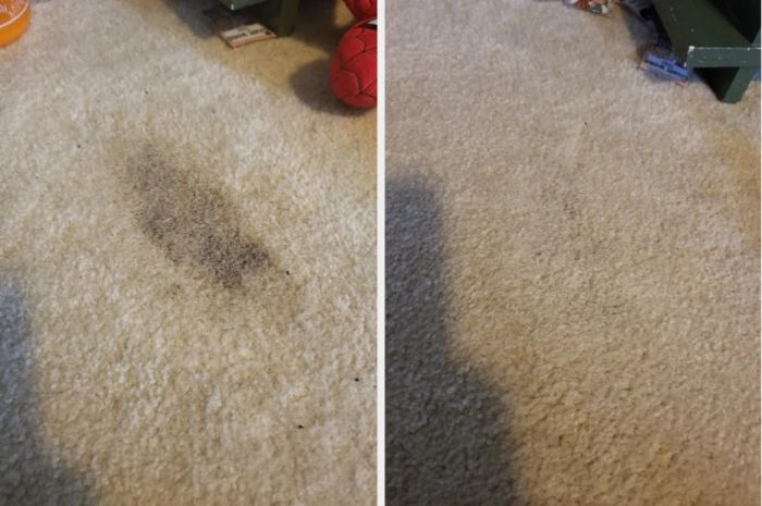 A before-and-after image showing a pet stain removed from a carpet.