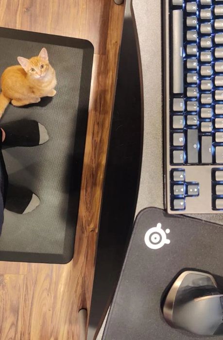 A reviewer stands in front of their desk on a black anti-fatigue mat, accompanied by their orange cat.