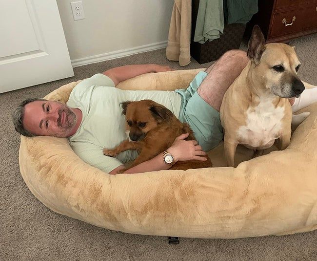 A person lying happily in a large pet bed with two dogs, both looking content and relaxed