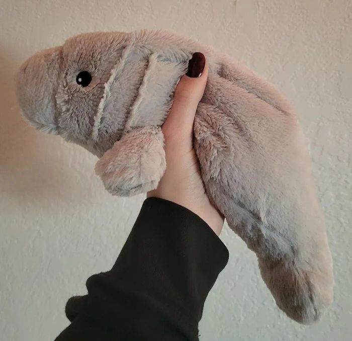 A hand gently holding a plush toy that resembles a manatee