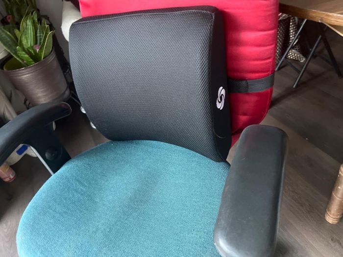 An office chair with a mesh lumbar support cushion attached, providing ergonomic comfort. A potted plant and a table sit in the background.