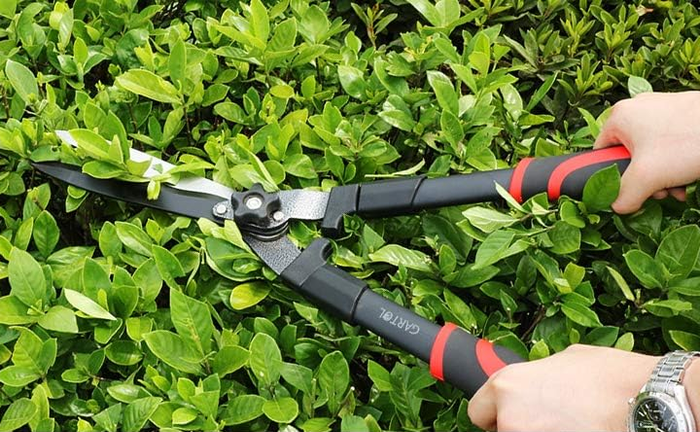 Multi-functional garden shears trimming a hedge; features include lawn care, shaping, color-block trimming, and dead corner cutting