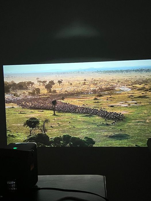 A reviewer demonstrating the projector screen mounted on a wall.