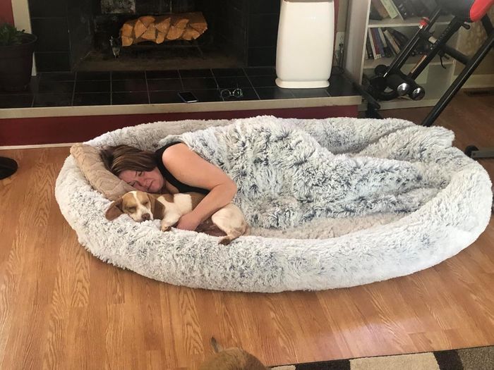 A person and their dog cozying up in a large, fluffy pet bed on a wooden floor, next to a warm fireplace. The scene radiates comfort and relaxation.