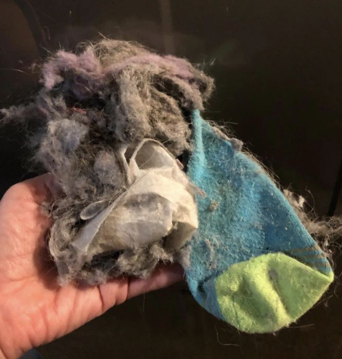 A customer review photo showing them holding a sock and a clump of lint they removed from their dryer