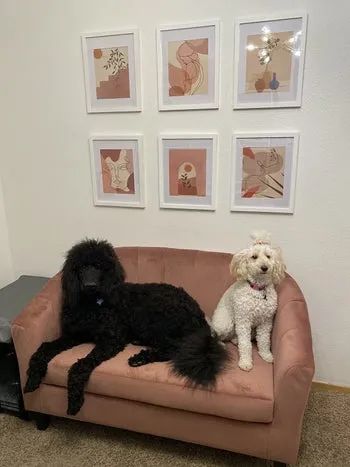 A reviewer's collection of six art prints with pink and beige hues, featuring simple floral and face/body designs, displayed in white frames on the wall.