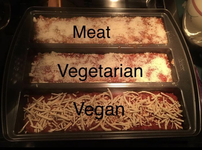 A customer review image showing their pan with vegan, vegetarian, and meat lasagna varieties