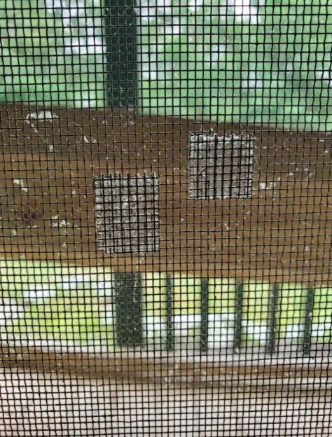 A customer review photo showing the screen repair tape applied to a screen, effectively fixing the tear.