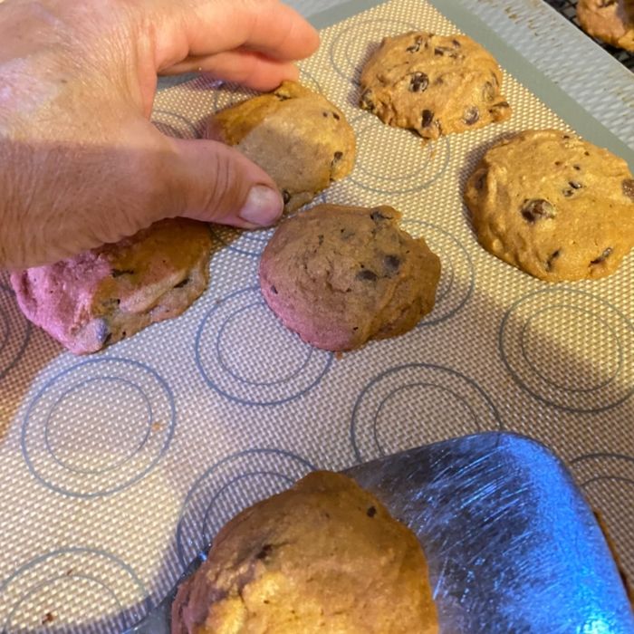 A hand gently places freshly baked chocolate chip cookies onto a baking tray, using a spatula to lift each cookie.