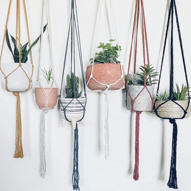 Six macrame hangers in various colors holding plants of different sizes