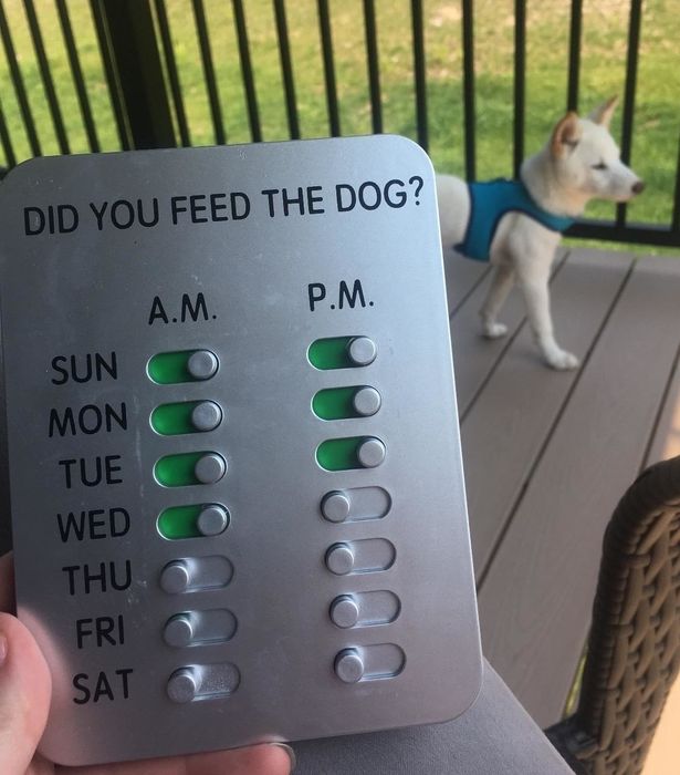 A reviewer is holding a handy tracker designed to monitor feeding times and amounts, ensuring optimal care for pets.
