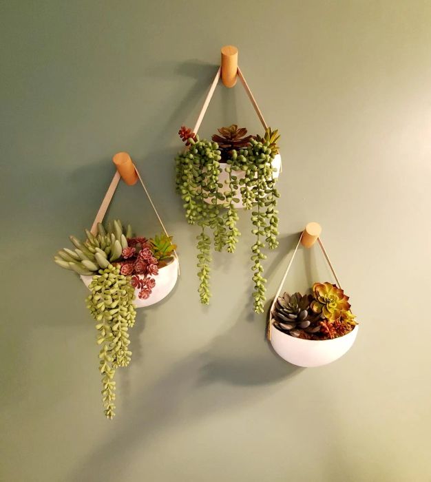 Another reviewer’s three succulent plants suspended from the wood beech wall hooks.