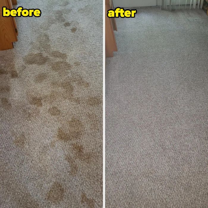 A before and after photo of a carpet previously stained with various urine marks, now completely spotless and free of stains.