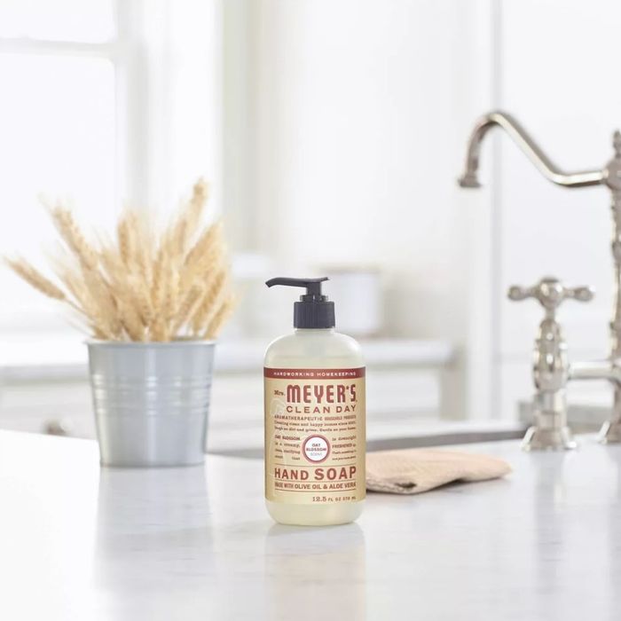 A bottle of Mrs. Meyer's Clean Day Hand Soap placed on a kitchen counter next to a faucet and a potted plant, adding a clean aesthetic