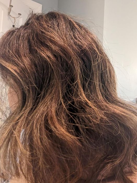 A customer’s photo showing their frizzy brown hair with highlights before using the K18 mask
