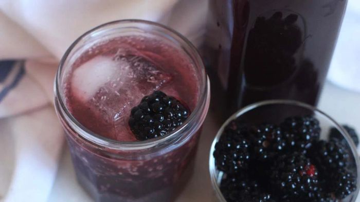 Sipping Through Your Summer Berry Collection