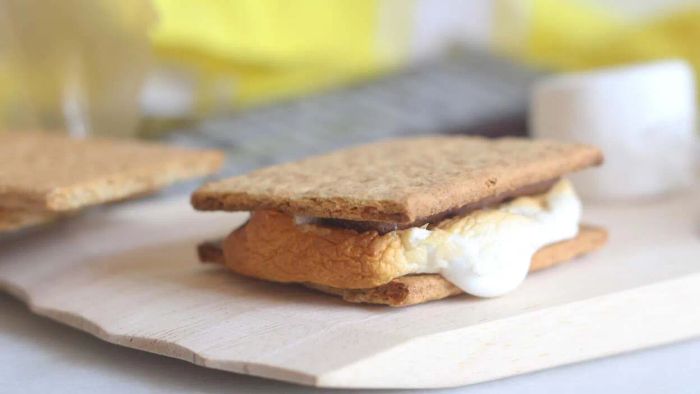 Master the Art of Making S'Mores with Your Broiler