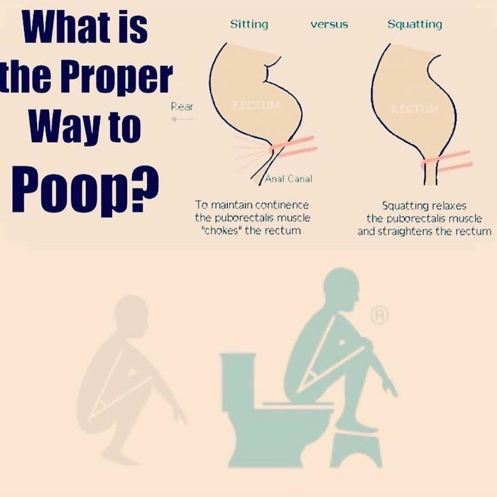 Diagram illustrating how the Squatty Potty helps open the anal canal