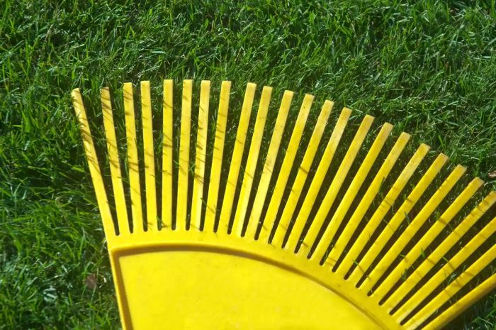 A yellow rake placed on a well-maintained lawn